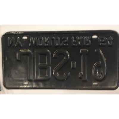 New York State World's Fair 1964, license plate