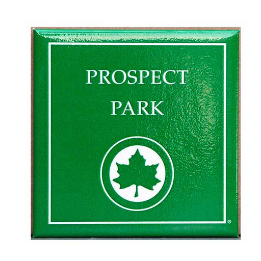 Prospect Park Magnet
