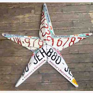 Wisconsin Wall Star
