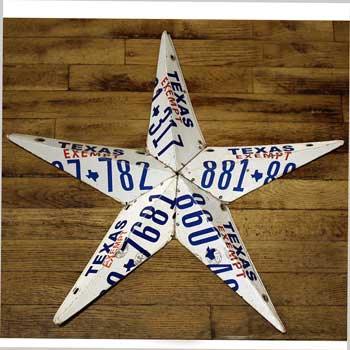 Texas star license plates